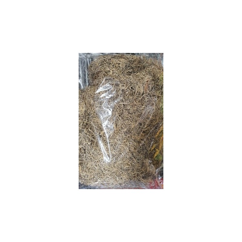 TILLANDSIA NATUREL 500gr