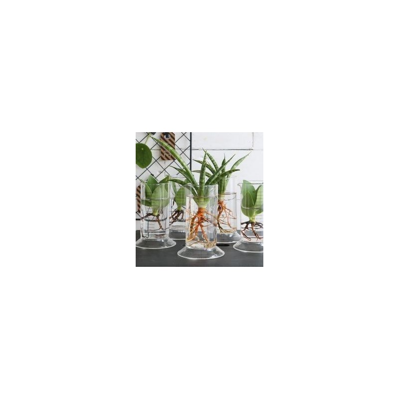 VERRE TUBE LABORATOIRE H11CM /6P