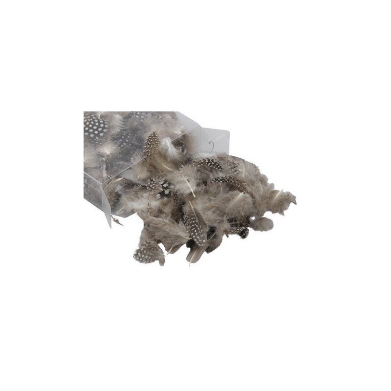 PLUME SAC 3gr SAC