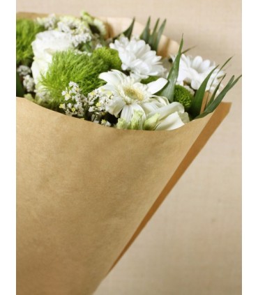 CONE KRAFT NATUREL BIO 50X44X12CM  / 50P