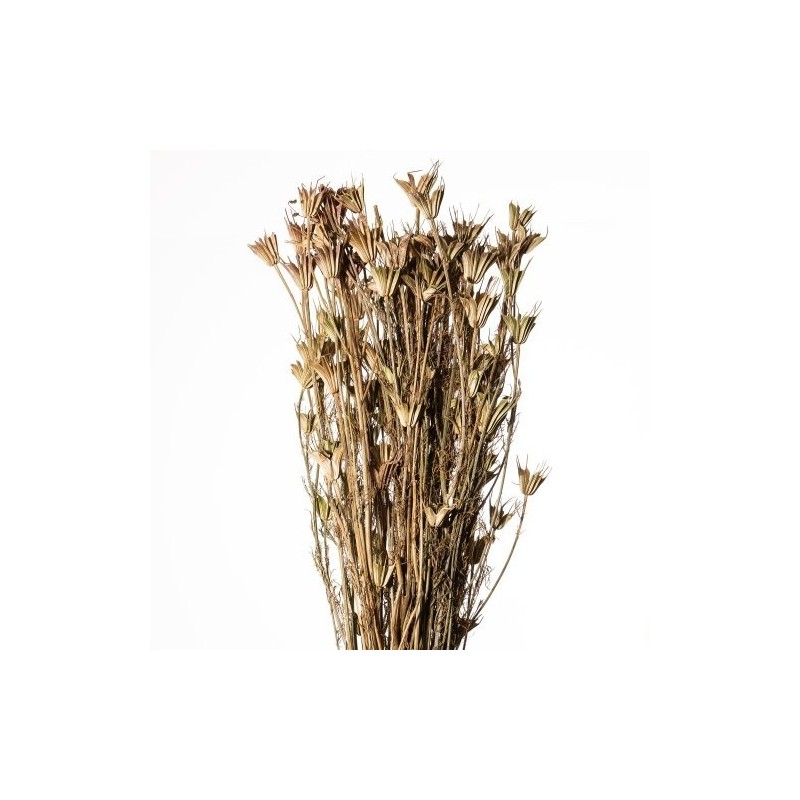 FLEUR DE NIGELLE NATUREL 100Gr