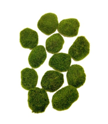 BOULE DE MOUSSE VERTE 9CM SAC 12 PIECES