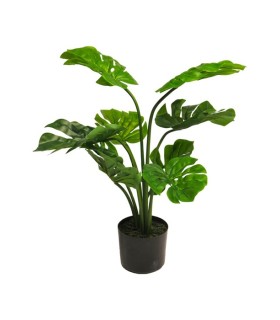 MONSTERA EN POT VERT 68CM à la pièce