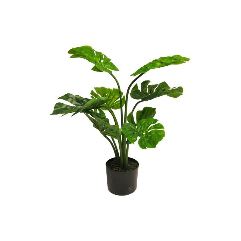 MONSTERA EN POT VERT 68CM à la pièce