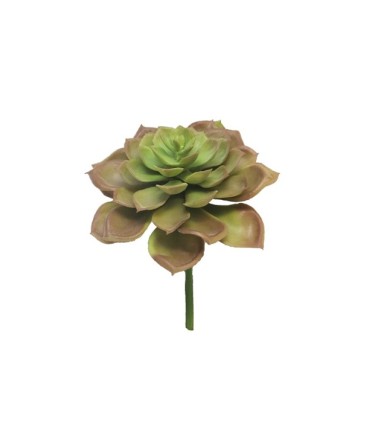 FLEUR EUCHEVERIA GOURIN ROSE 17CM la pièce