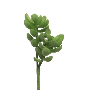 FLEUR SUCCULENT RHODA VERT 14CM à la pièce