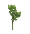 FLEUR SUCCULENT RHODA VERT 14CM à la pièce