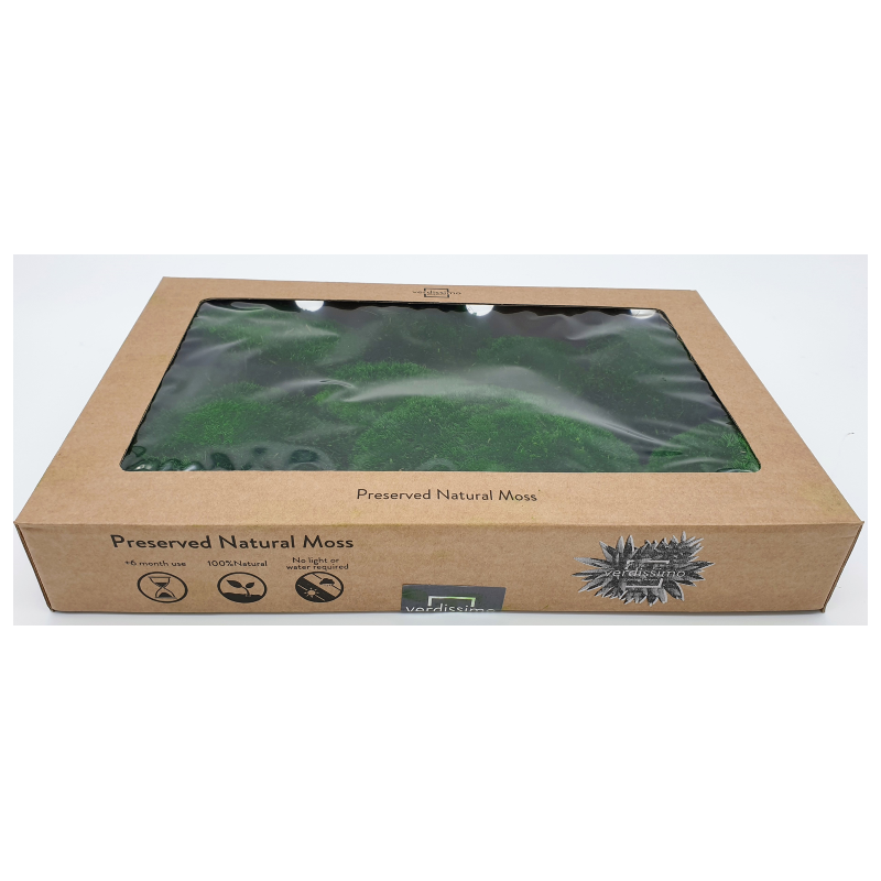 VERDISSIMO-MOUSE BOULE VERT FONCE boite