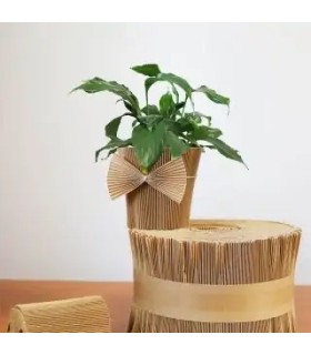 MANCHETTE CACHE-POT KRAFT 145CM les 20M