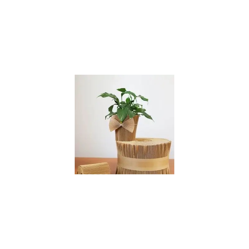 MANCHETTE CACHE-POT KRAFT 145CM les 20M