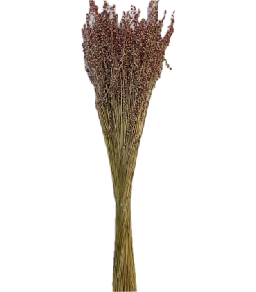 BRIZA MEDIUM NATUREL SAC 100GR