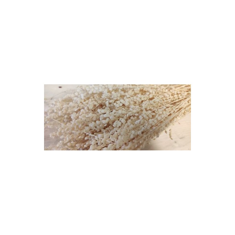 BRIZA MEDIUM BLANC SAC 100GR