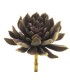 FLEUR SUCCULENT AEONIUM ROSE 13CM à la pièce