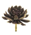 FLEUR SUCCULENT AEONIUM ROSE 13CM à la pièce