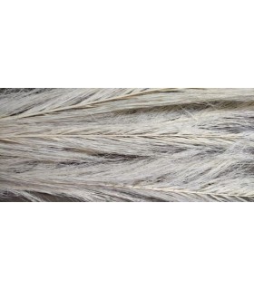 DATE JHAT BLANC SAC 5P