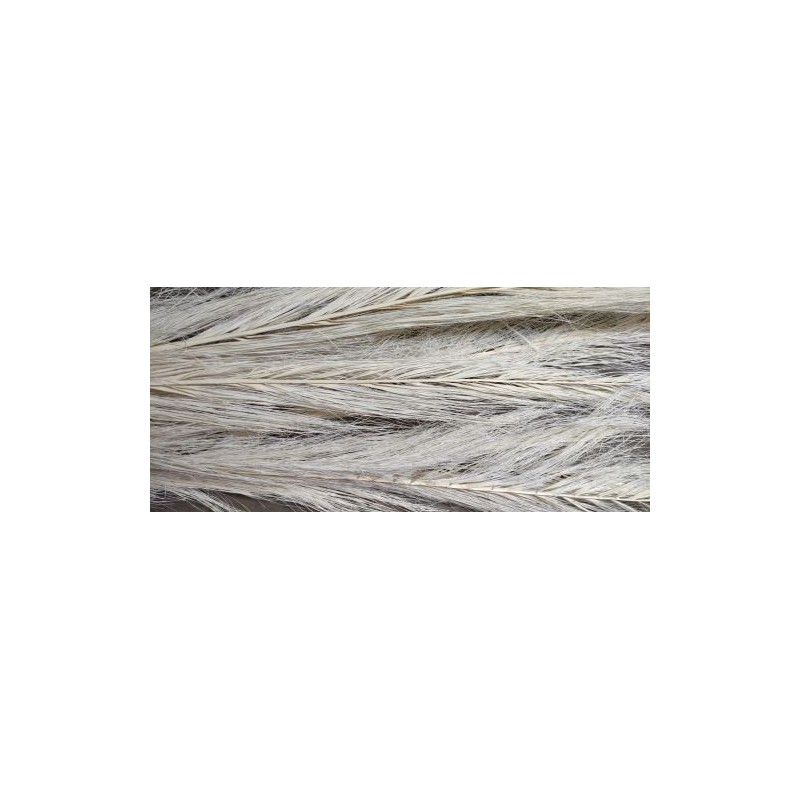 DATE JHAT BLANC SAC 5P