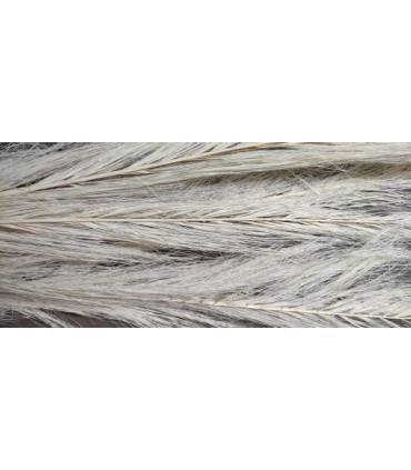 DATE JHAT BLANC SAC 5P