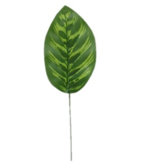 FEUILLE CALATHEA H28CM les 12P