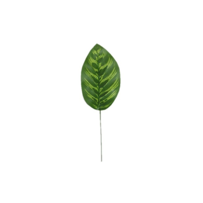 FEUILLE CALATHEA H28CM les 12P