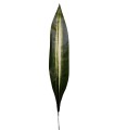 FEUILLE DE DRACENA H65CM les 12P
