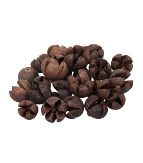 FRUIT SEC CHILERRY les 500GR