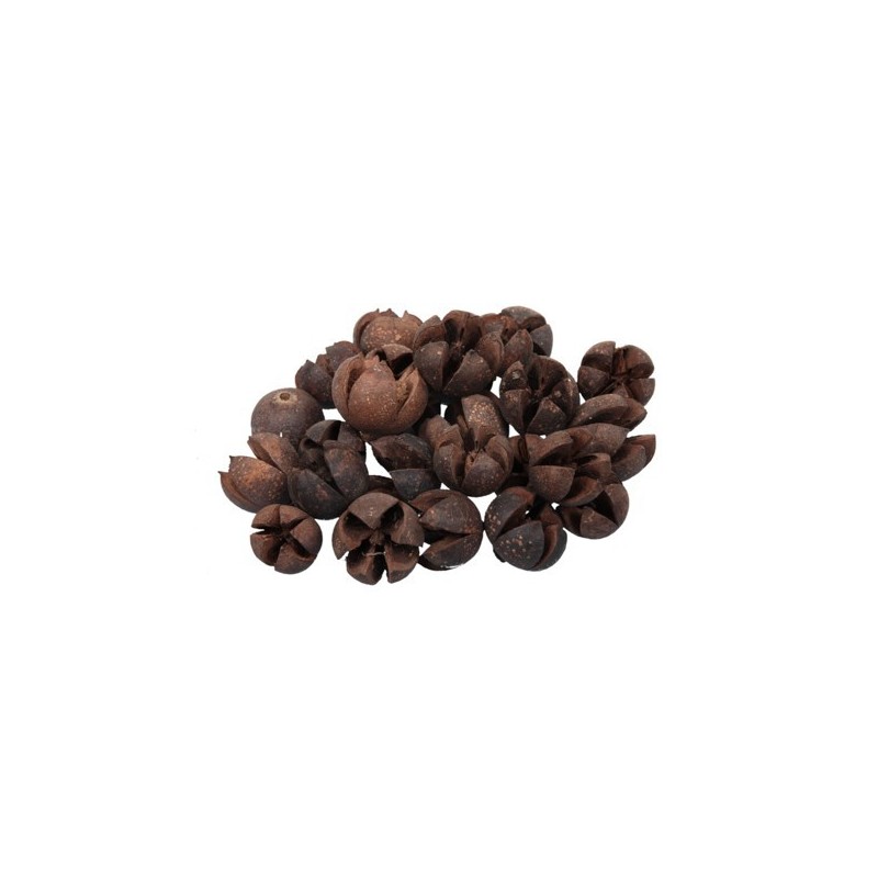 FRUIT SEC CHILERRY les 500GR