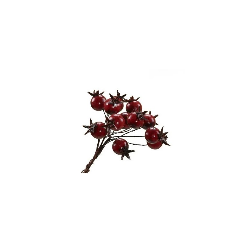 BAIE ROUGE BOUQUET les 6P