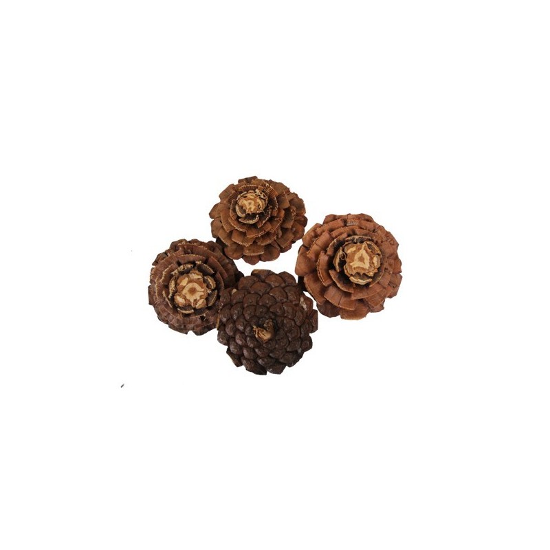 POMME DE PIN FLEUR les 30P