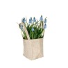 SAC NATUREL 9.5x9 H11cm les 20P