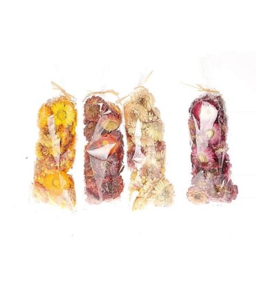 SACHET FLEUR SECHEE les 4 couleurs 