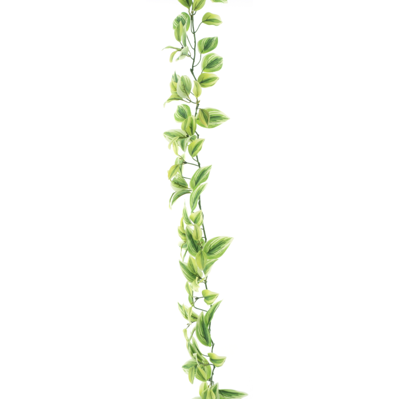 FEUILLE TRADESCATIA VERT/CREME guirlande 170CM /1P