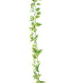 FEUILLE TRADESCATIA VERT/CREME guirlande 170CM /1P