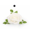 FLEUR BLANCHE ROSE 030CM à la pièce