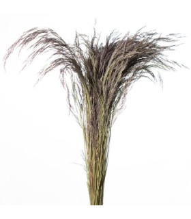 HERBE CRISTINA NATUREL ROSE 150GR