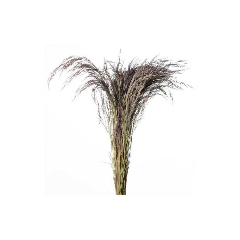 HERBE CRISTINA NATUREL ROSE 150GR