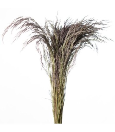 HERBE CRISTINA NATUREL ROSE 150GR