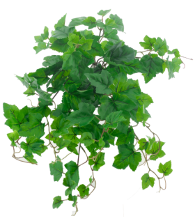 FEUILLE DE VIGNE VERTE 52CM à la pièce