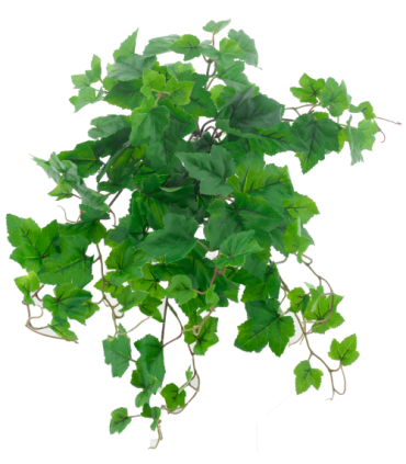 FEUILLE DE VIGNE VERTE 52CM à la pièce