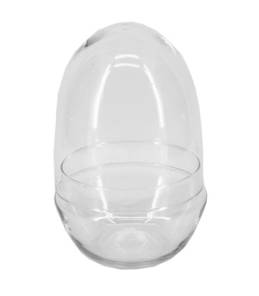 VERRE CLOCHE AVEC COUPE 012 H19.5CM /6P