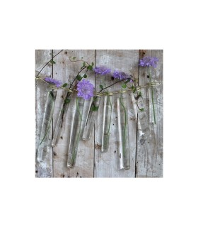 VERRE EPROUVETTE 02CM H12.5CM les 12P