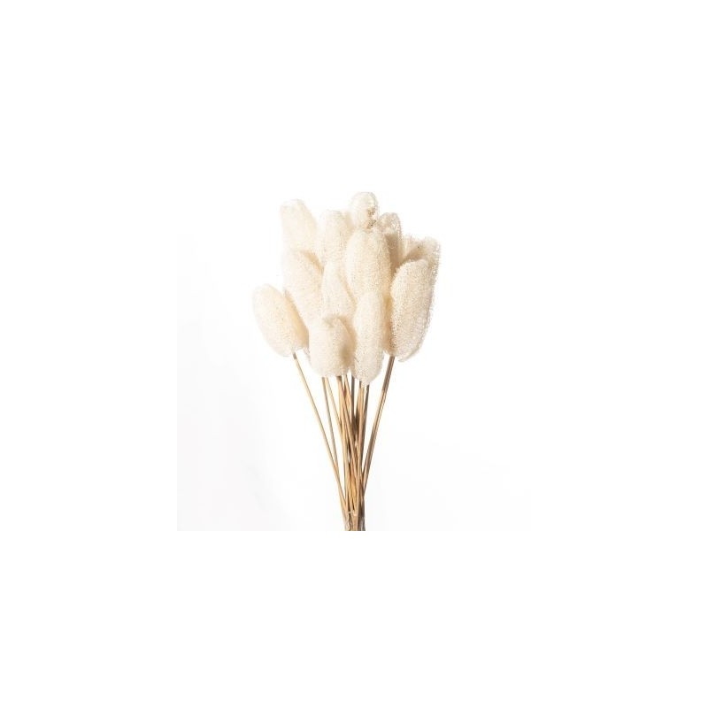 JHAMMA SUR TIGE BLANCHE 10-20CM /10P