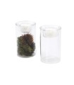 VERRE VASE+PORTE BOUGIE 06.5 H10.5CM les 6P