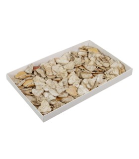 COEUR ECORCE DE BOIS la boite 200P