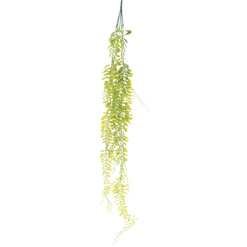 FEUILLE AESCHANTUS à suspendre 100CM à la pièce