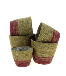 C.POT OSIER NATUREL et ROSE 014 à 023 SET 5P