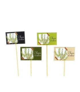 PIQUE CARTE PLAISIR D'OFFRIR les 12P