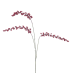 BRANCHE DE BAIE ROUGE 110CM les 6P