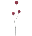 BRANCHE DE BAIE ROUGE BOULE 81CM les 6P