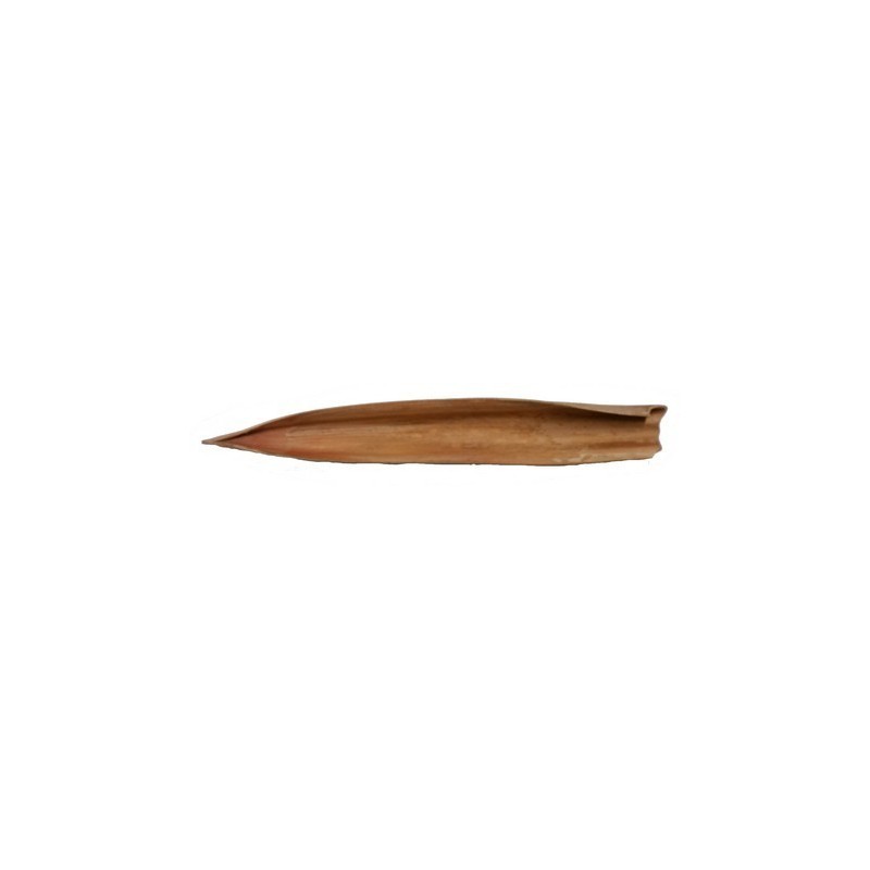 FEUILLE DE COCO 70-100CM / 1P