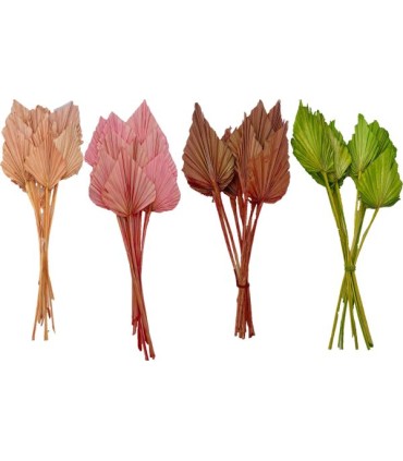 FEUILLE PALMIER COULEUR les 10P